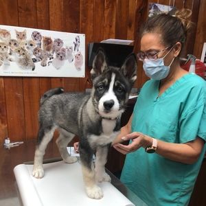 Meet your Posher, Dolores